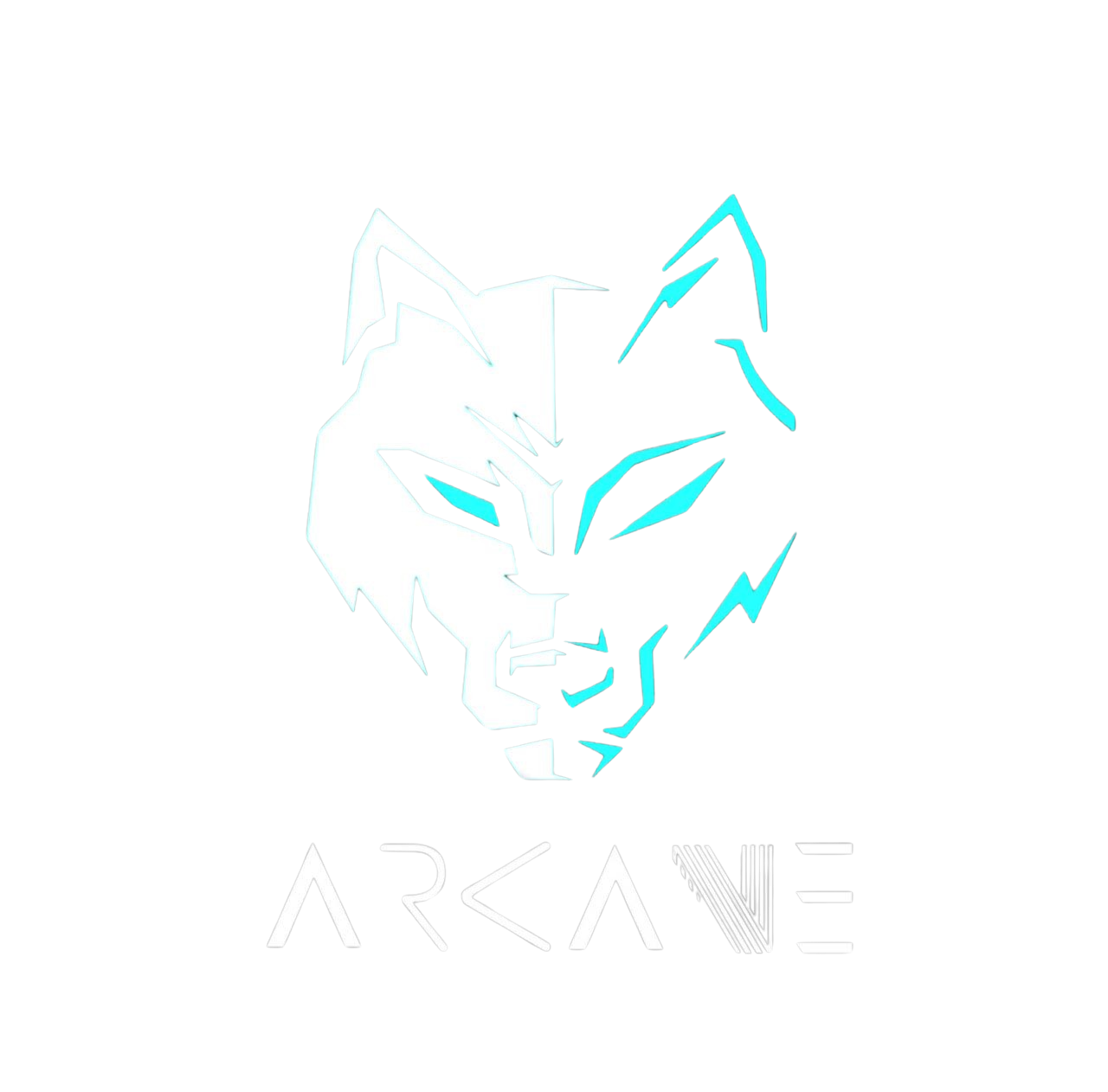 Arcane Supplements