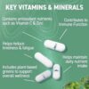 Applied Nutrition Greens Multivitamin 60 Capsules